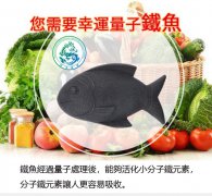 幸運(yùn)鐵魚